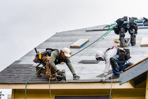 Professional Flat Roof Repair technician working in Wimbledon, ND