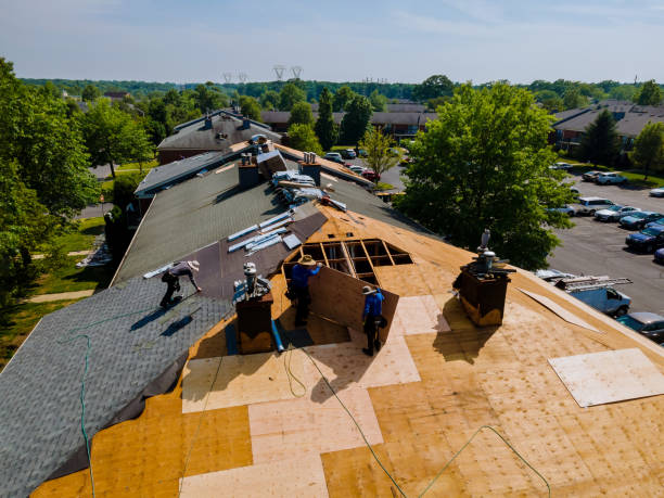 24/7 Emergency Flat Roof Repair experts in Wimbledon, ND